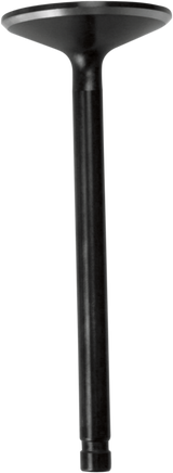 Nitrided Valve