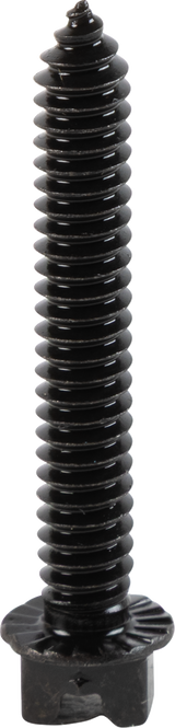 AMA Race Legal Traction Screws