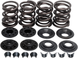 Racing Valve Spring Kit