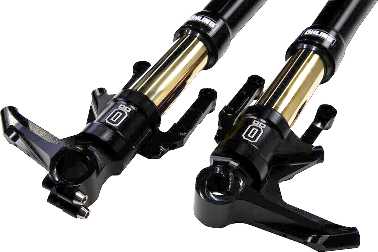 Blackline Fork