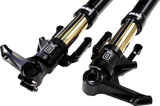 Blackline Fork