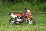 K775 Washougal II Tire