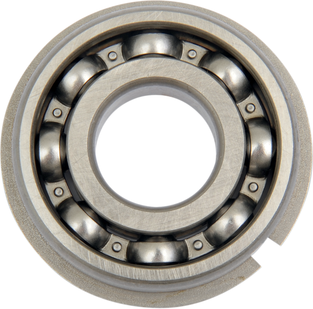 Counterbalance Shaft Bearing