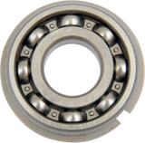 Counterbalance Shaft Bearing