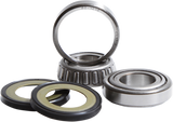Steering Stem Bearing Kit