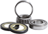 Steering Stem Bearing Kit