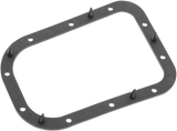 Fuel Pump Door Seal
