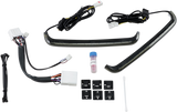 LED Low-Profile BAGZ™ Accent Lights