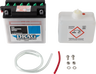Conventional Battery Kit