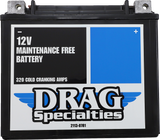 AGM Maintenance-Free Battery