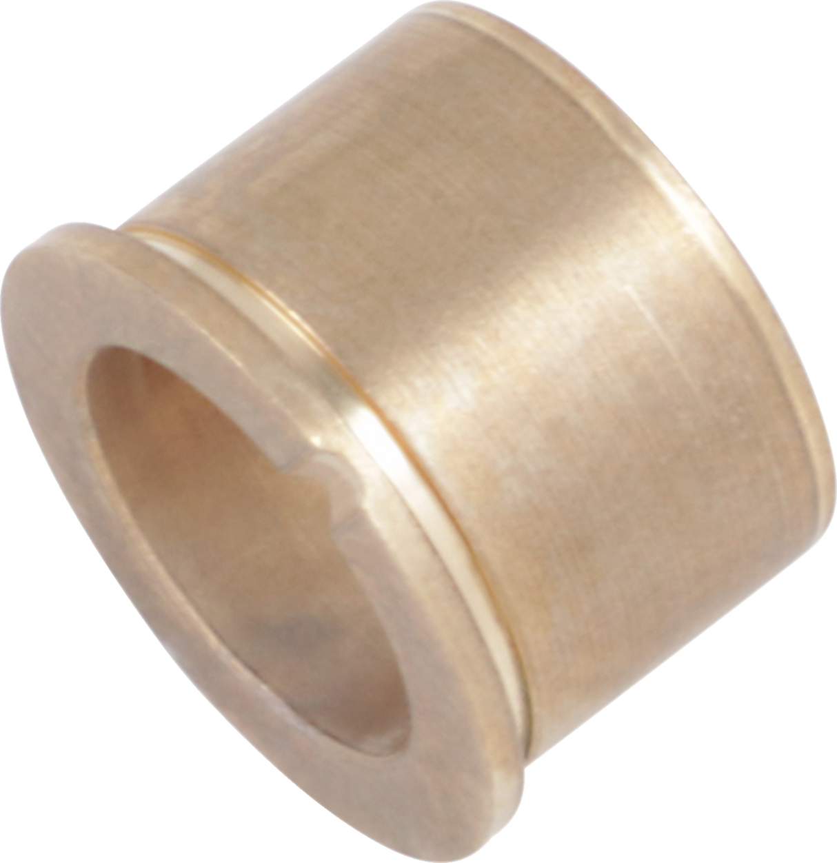 Cam Cover Bushing