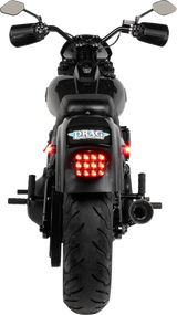 Neowise 3-1 Mini Fender Strut Indicator Lights