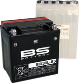 Maintenance-Free Battery