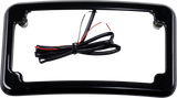 Beveled License Plate with Lights