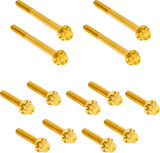 Outer Primary Cover Titanium 12-Point Bolt Kit
