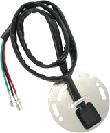 Ignition Sensor Assembly