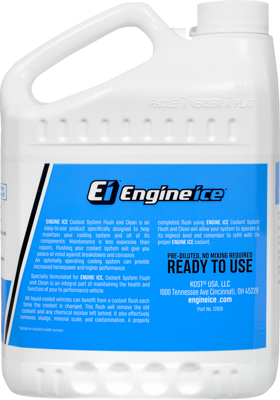 Coolant System Flush and Clean