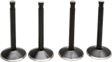 Black Diamond™ Engine Valve Kit