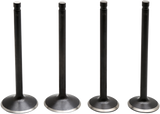 Black Diamond™ Engine Valve Kit