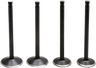 Black Diamond™ Engine Valve Kit