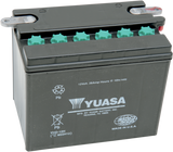 Conventional Battery — 12 V