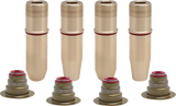 Valve Guide Kit