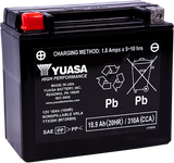AGM Maintenance-Free Battery