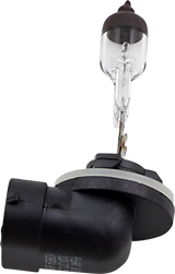 Halogen Bulb