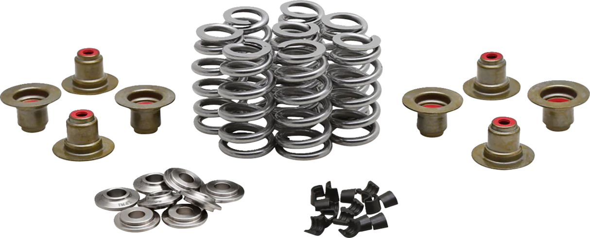Beehive Valve™ Spring Kit