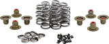 Beehive Valve™ Spring Kit