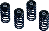 Clutch Spring Kit