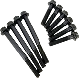 Cam Plate and Oil Pump Fastener Kit