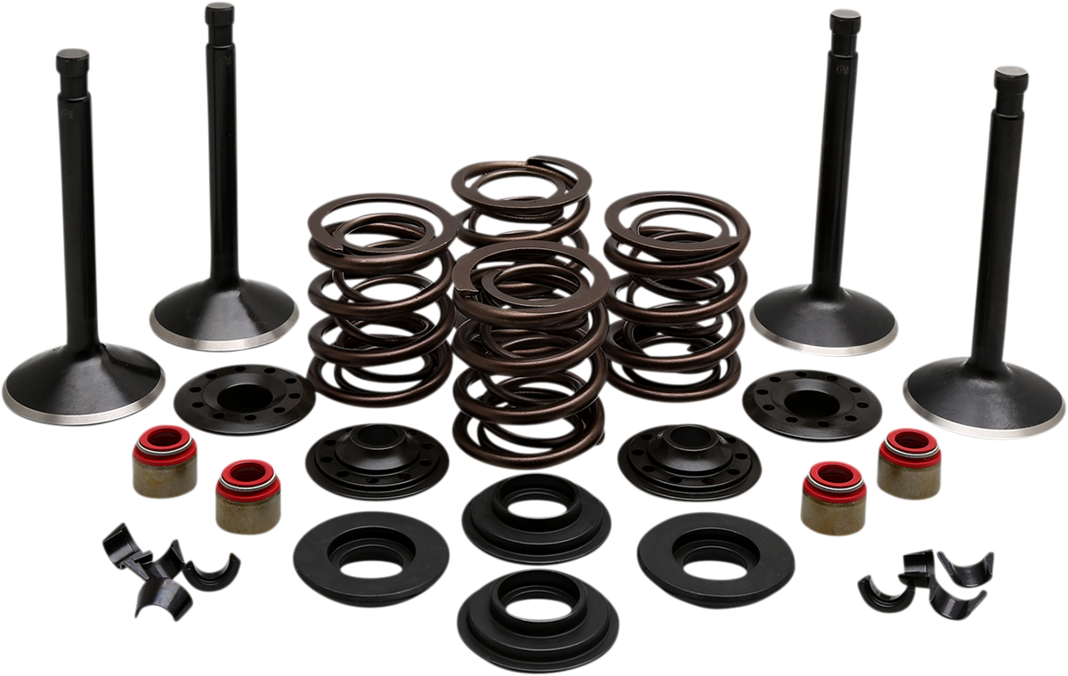 Engine Valve Kit