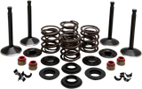 Engine Valve Kit