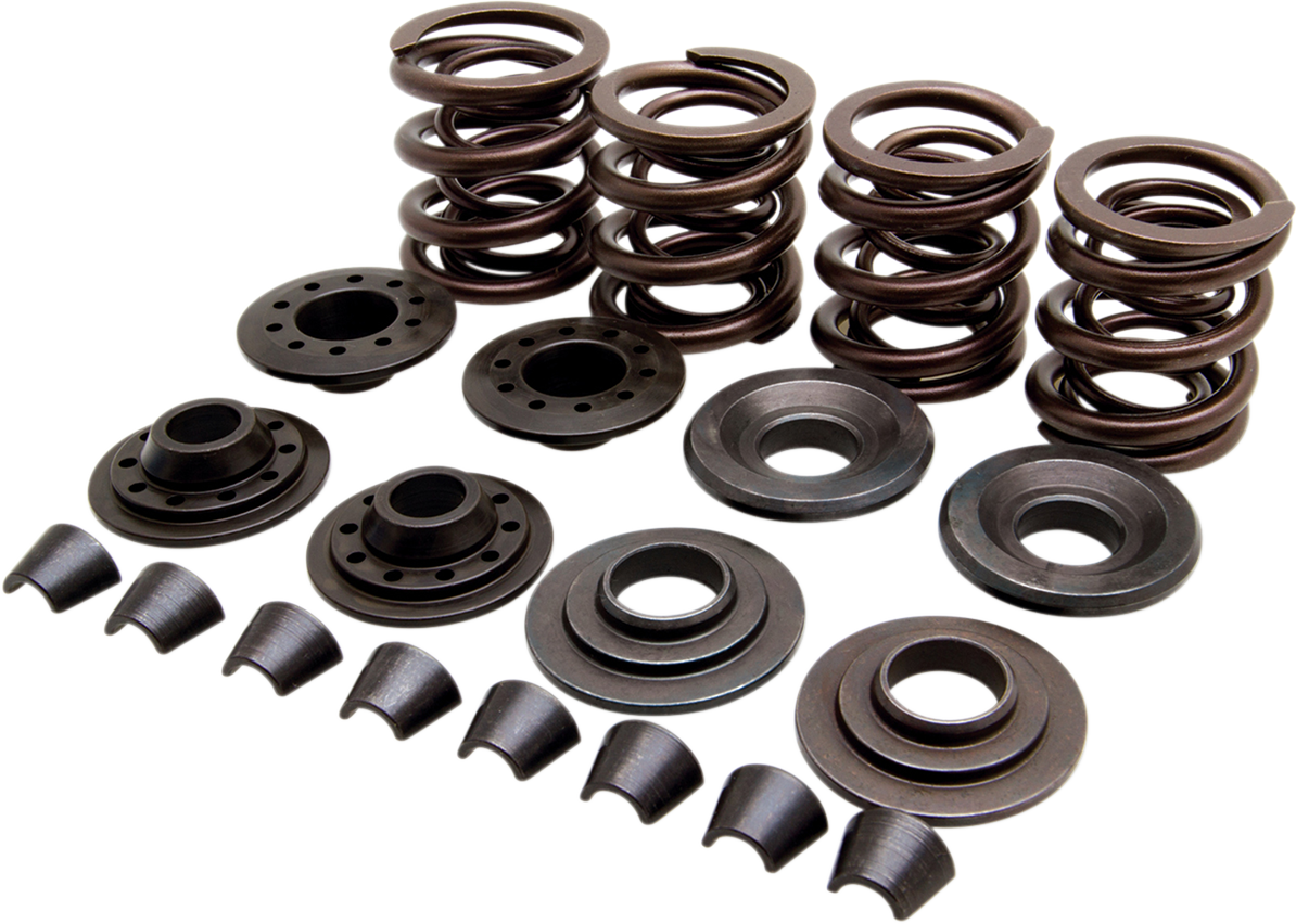 OEM Replacement Valve Spring Kit