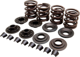OEM Replacement Valve Spring Kit