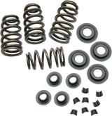0.650" Sidewinder® Valve Spring Kit