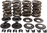 Racing Valve Spring Kit