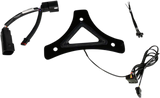 Dual Intensity Run & Brake Backrest LED Light