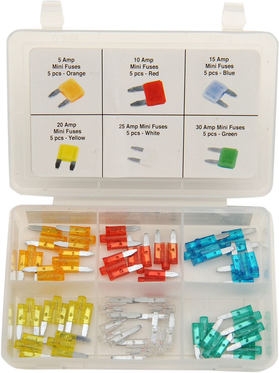 Mini Fuse Assortment