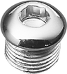 Timing and Oil Tank Drain Plug