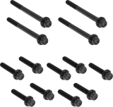 Outer Primary Cover Titanium 12-Point Bolt Kit