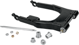Swingarm Retrofit