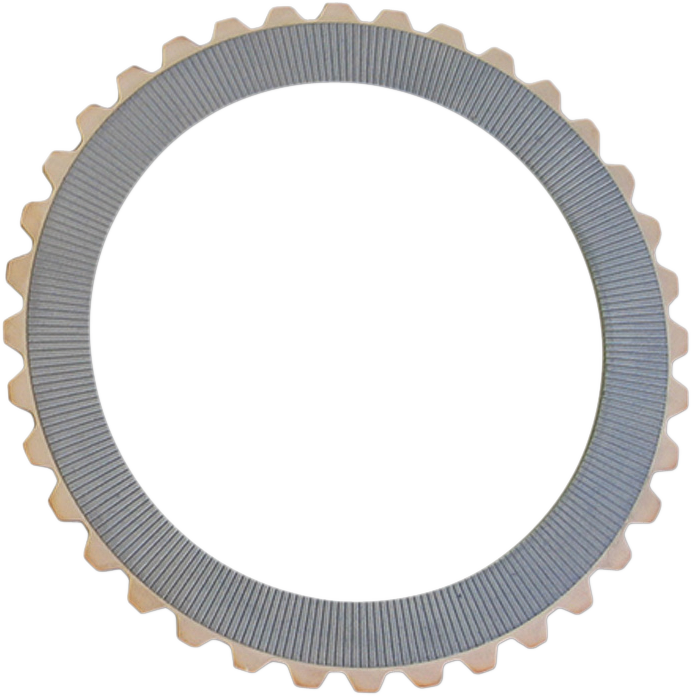 Rivera Pro Replacement Clutch Plate
