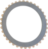 Rivera Pro Replacement Clutch Plate
