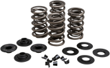 Racing Valve Spring Kit