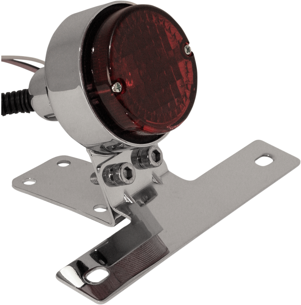 Taillight with License Plate Mount