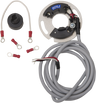 Single-Fire Electronic Ignition System