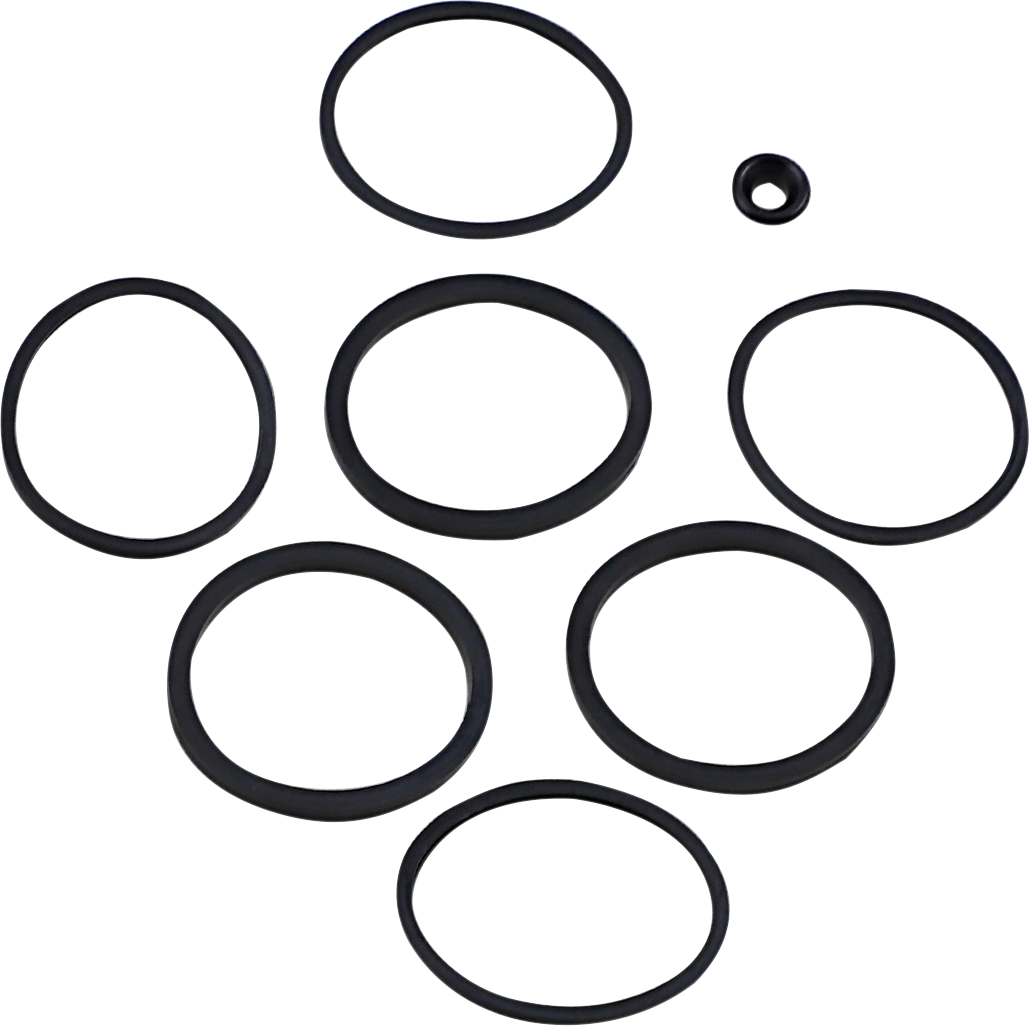 Caliper/Piston Seal Kit