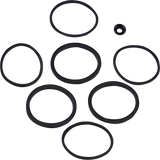 Caliper/Piston Seal Kit
